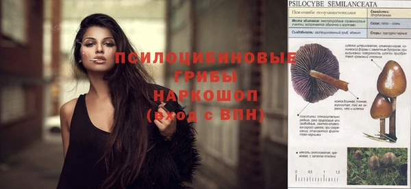 амфетамин Алексин
