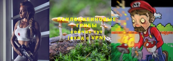 трава Алзамай
