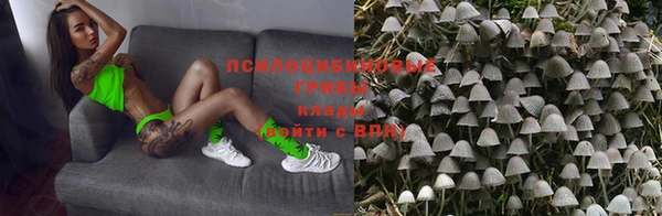 трава Алзамай