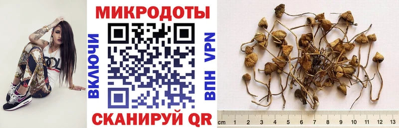 Галлюциногенные грибы Cubensis  цены   Вологда 