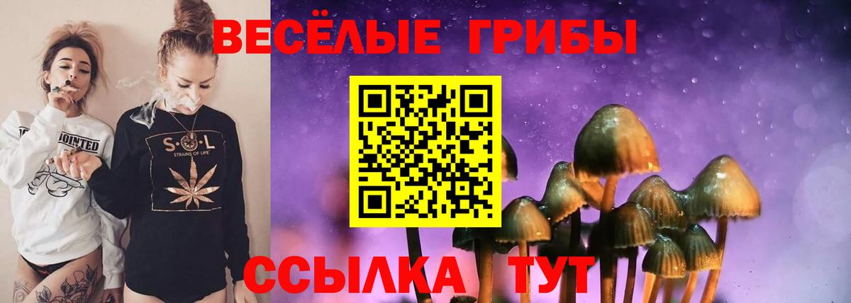 Псилоцибиновые грибы Magic Shrooms Вологда
